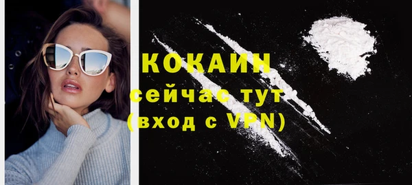 дурь Няндома